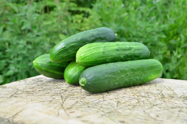 Cucumbers on the wood