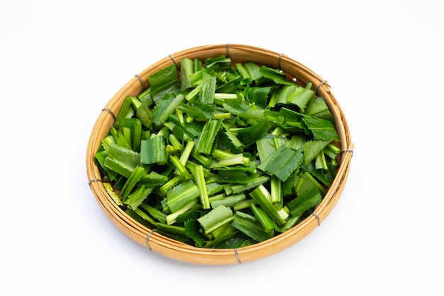 Culantro or sawtooth coriander on white background