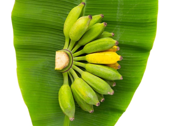 Cultivated banana on leaf on white background