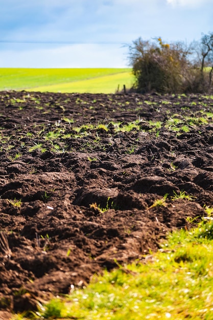 Cultivated field freshly ploughed by sunny day