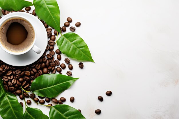 Cup of black coffee green leaves and beans on white background top view