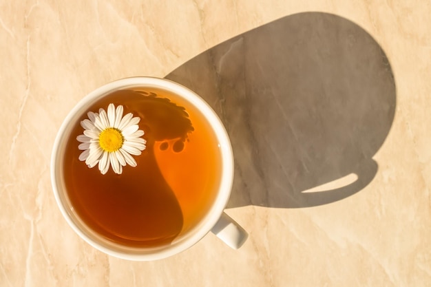 Cup of chamomile tea on tableTop view Sunny day beautiful shadow on the table Healthy eating