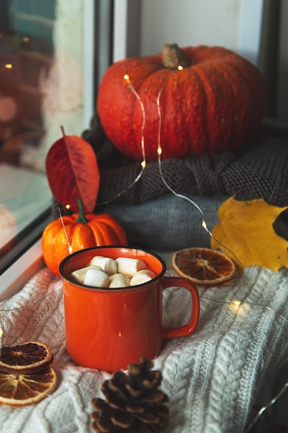 Cup of cocoa pumpkin autumn leaves and a knitted blanket on the windowsill