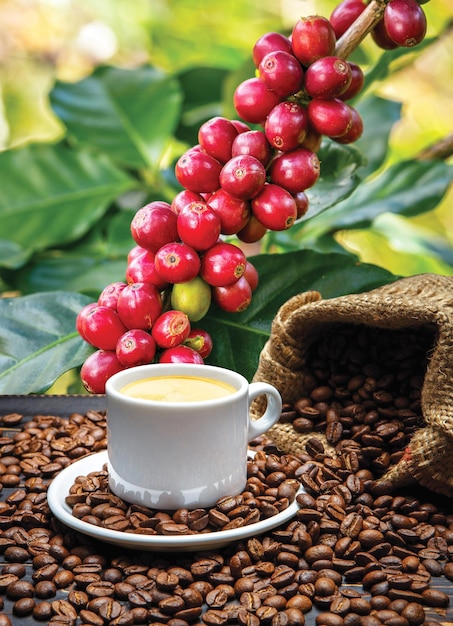 Cup of coffee and coffee beans in burlap sack