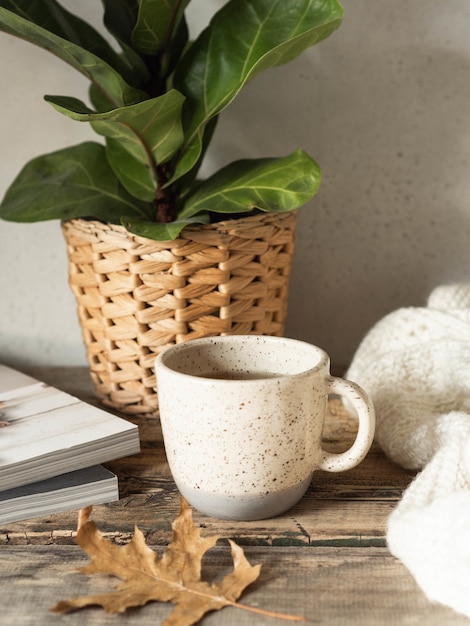 Cup of coffee and plant in pot on wooden table