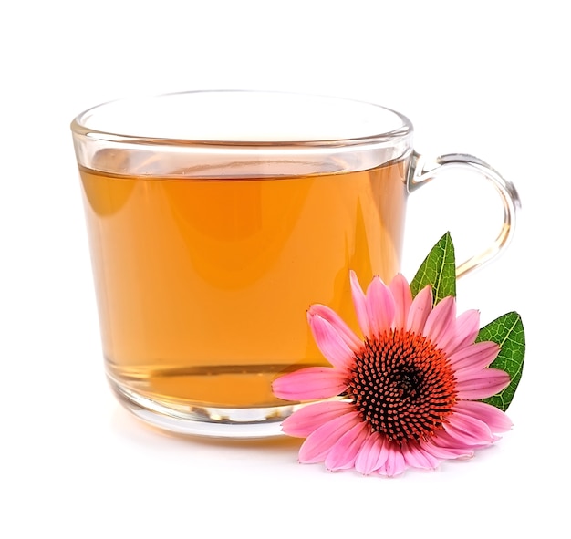 Cup of echinacea tea isolated on white background