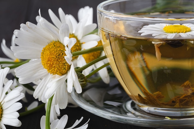 Cup of herbal chamomile tea with fresh daisy flowers on wooden background. doctor treatment and prevention of immune concept