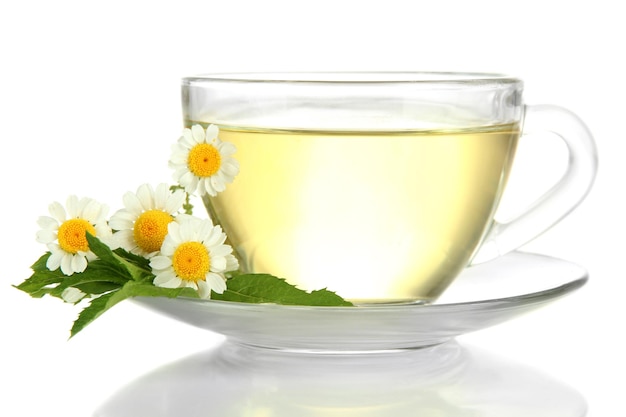 Cup of herbal tea with wild camomiles and mint isolated on white