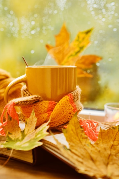 A cup of hot tea with a scarf books