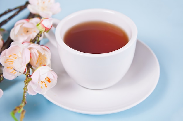 A cup of tea and cherry blooming with flowers sakura on the table. Spring concept.