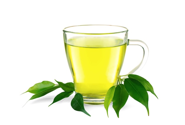 Cup of tea and green leaves isolated on white