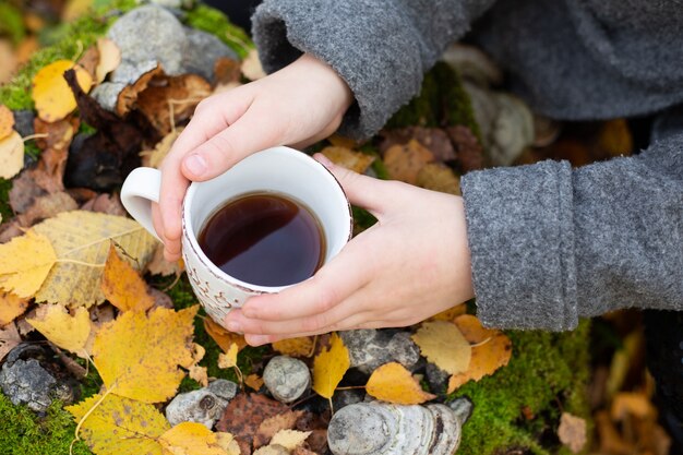 Cup of tea in hand outdoor. Walk in the autumn forest - Image