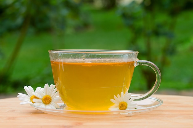 Cup of tea with camomile