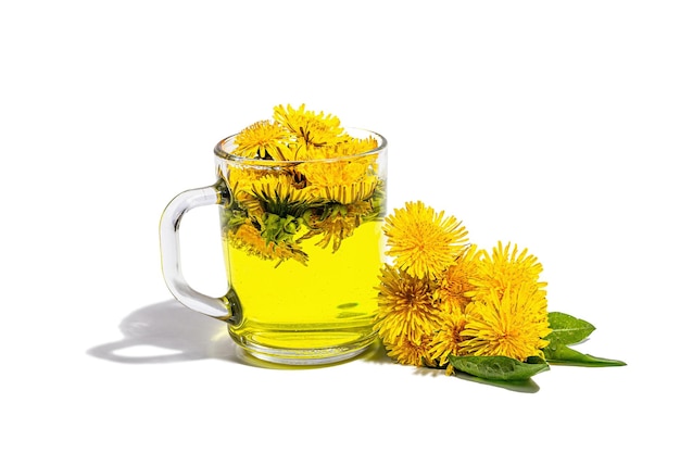 Cup of tea with dandelion flowers isolated on a white background Breakfast springtime concept