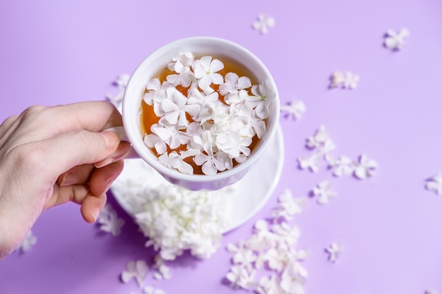 A cup of tea with white hydrangea petals Delicate still life with flowers and a cup of tea Trendy color Veri Peri