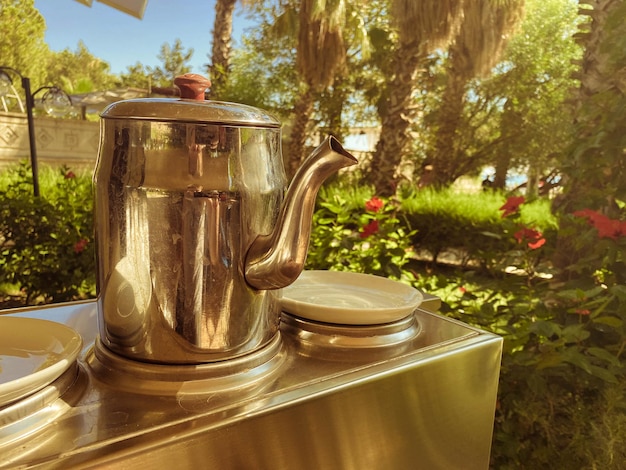 Cup and teapot in nature in the forest