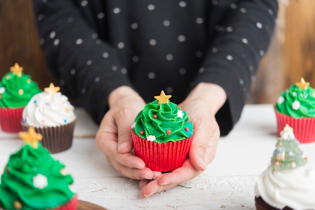 Cupcakes for christmas