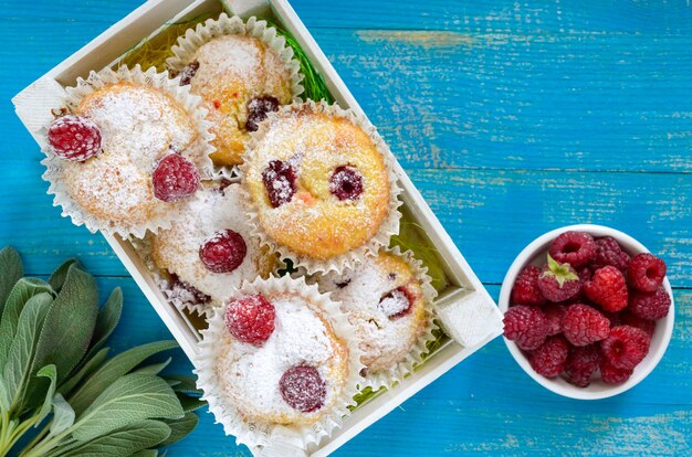 Curd cakes with raspberries, decorated with powdered sugar