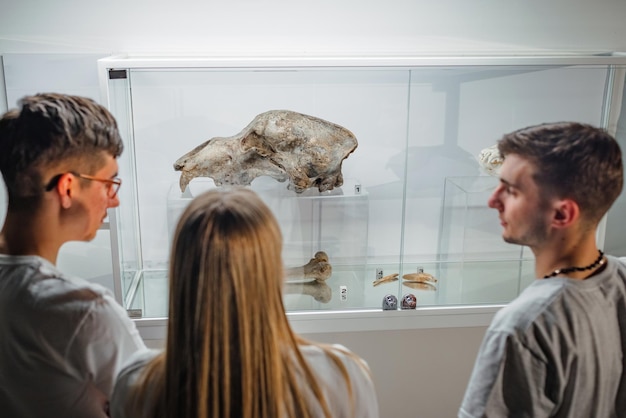 Curious young people observing animal skeletons and skulls displayed in a showcase during natural