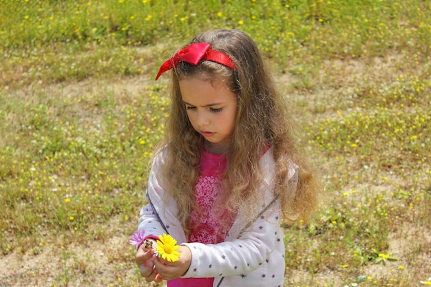 Curly little girl with a red bow in her hair Girl on a green meadow among yellow flowers