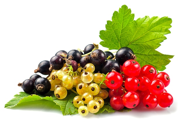 Currants with green leafs isolated on white background. Close up, shallow deep of field.