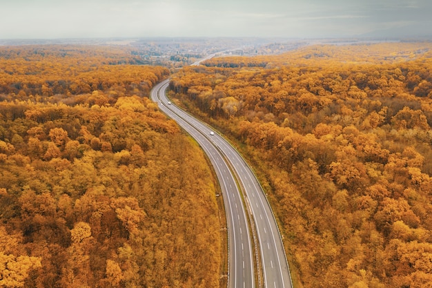 Curved Freeway facing the horizon amid the Yellow autumn Forest - an Atmospheric Perspective from the height of the drone's flight