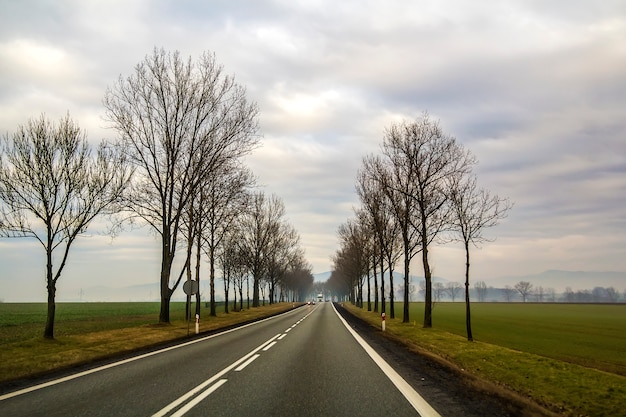 Curved Two-Lane Country Road Winding Through Trees