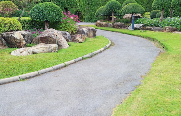 Curvy pathway in the flowering garden with round shaped trees