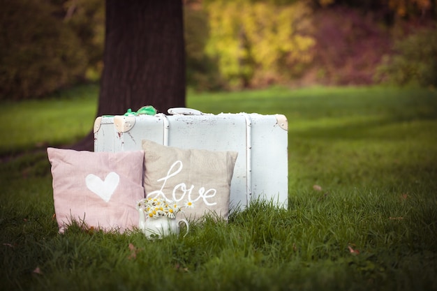 Cushions and white suitcase in nature 