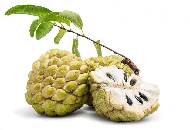 Custard Apple Isolated