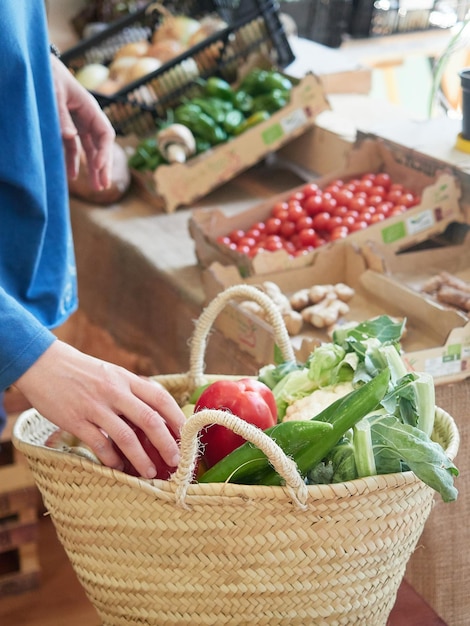 Customer filling wicker shopping basket with fresh vegetables in small grocery local store Healthy eating and sustainable shopping concept