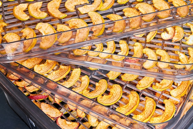 Cut apples on dehydrator tray