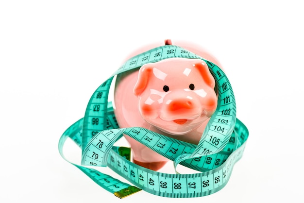 Cut the budget Economy and budget increase low pay Saving money Deposit money diet finance and commerce loan concept Take credit piggy bank with measurement tape Moneybox