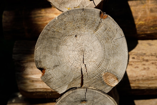 Cut of a log close-up in a wooden house. High quality photo