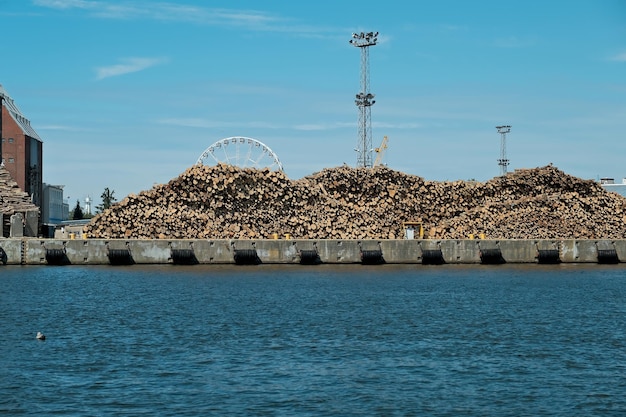 Cut timber catastrophic deforestation sawn wood stored in the port