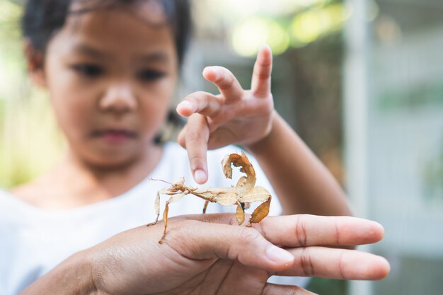 Cute asian child girl looking and touching leaf grasshopper that stick on parent hand