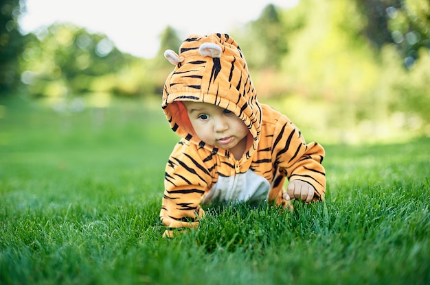 Cute baby boy wearing a tiger costume sitting in grass at park.