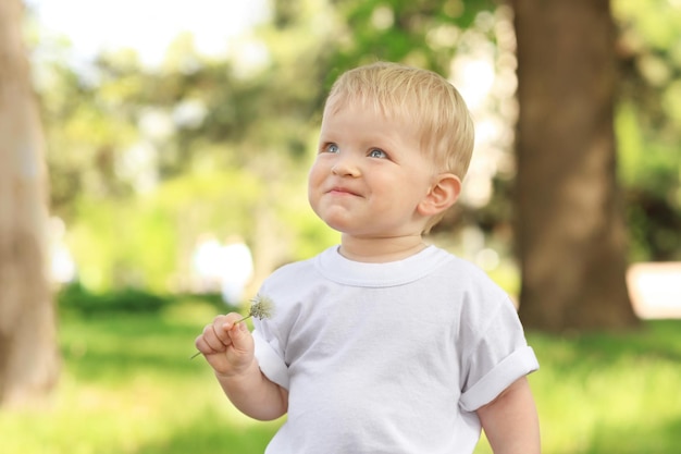 Cute baby boy with dandelion in green park on sunny day