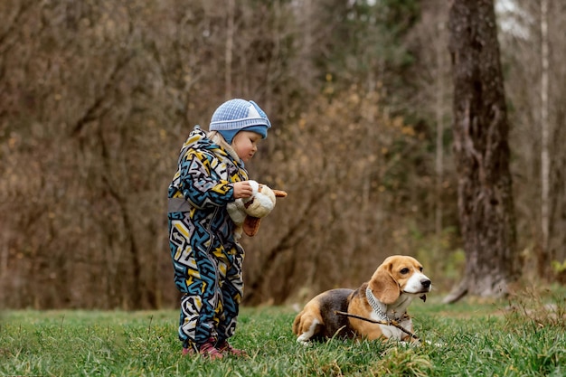 Cute baby girl holding a toy dog looking at beagle laying on grass in forest Kids and pets concept