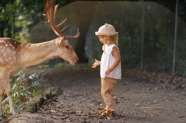 Cute baby girl toddler child feeding big brown deer fawn with antlers in forest park farmBravecutehappy caucasian blonde kidAnimal carelove lifestyle Infant and fauna nature