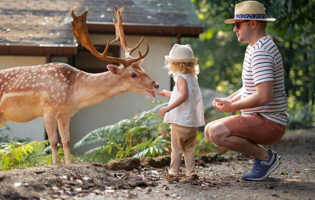 Cute baby girl toddler child and man feeding big brown deer fawn with antlers in forestparkfarmBravecutehappy caucasian blonde kidAnimal carelove lifestyle Infantfather and fauna nature