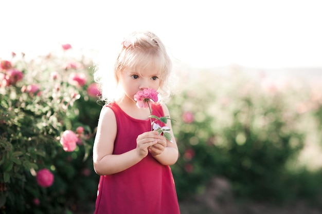 Cute baby girl with rose flower wearing pink dress outdoors