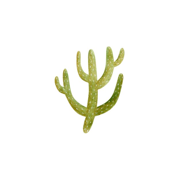 Cute baby watercolor cactus illustration isolated on white background