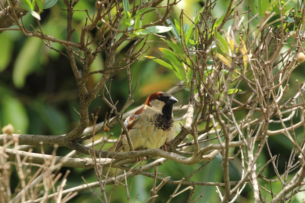 Cute bird on branch