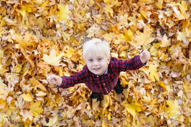 Cute blond boy stands in a autumn leaves and looks up. Top view. Autumn concept