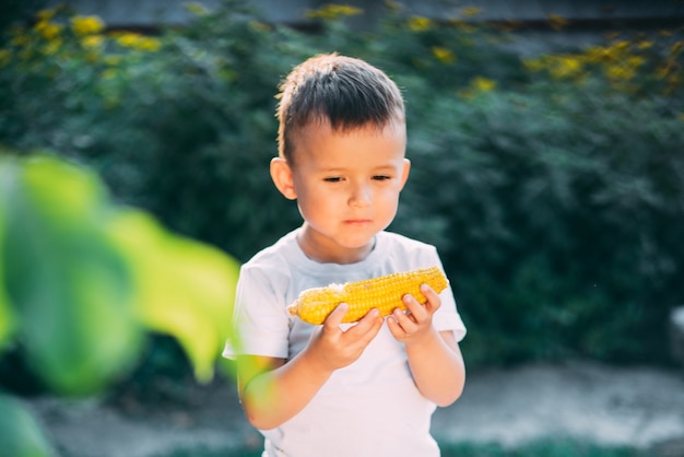 Cute boy in the garden or outdoor Park eating boiled corn is very appetizing in summer