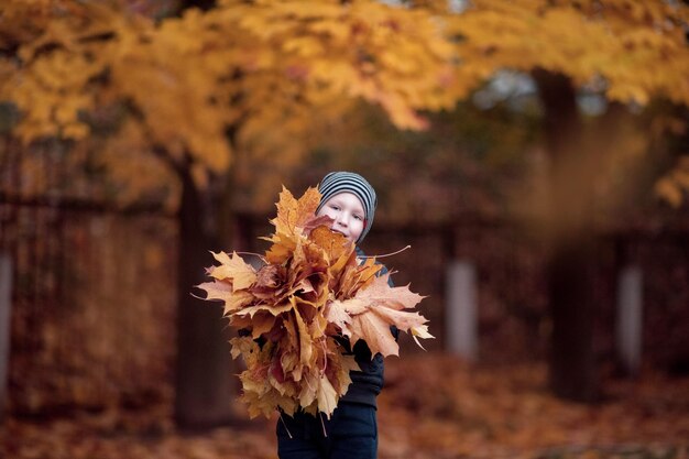 A cute boy in a hat holds autumn yellow leaves in his hands