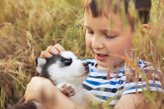 A cute boy plays with husky puppy sitting in grass on a meadow