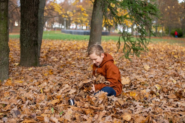 Cute boy sitting in autumn leaves in the park