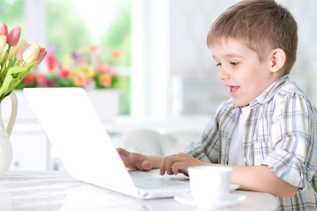 Cute boy using laptop in room